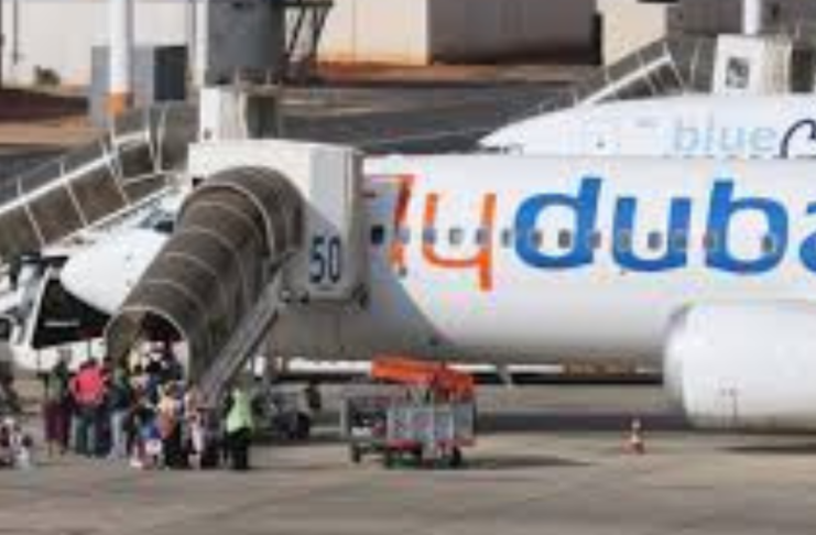 Passengers foil bid to crash Dubai-Tel Aviv flight, Israel says, after co-pilot stabs pilot Passengers foil bid to crash Dubai-Tel Aviv flight, Israel says, after co-pilot stabs pilot